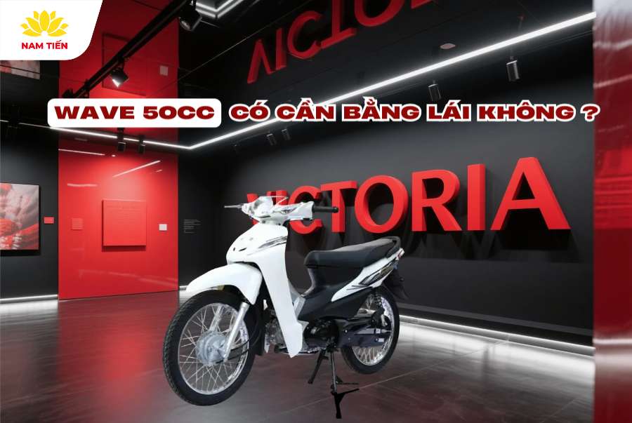 Đi xe Wave 50cc có cần bằng lái không?