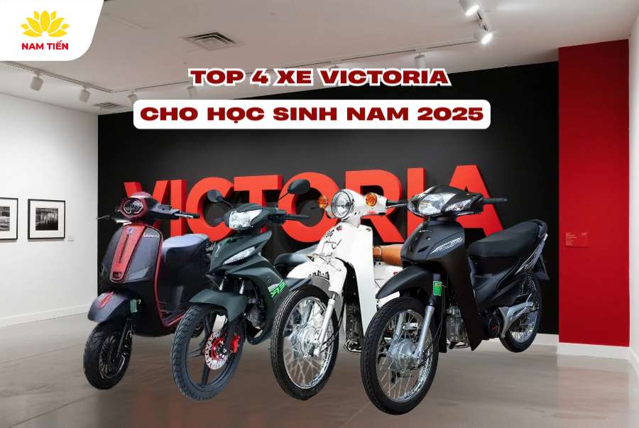 Top 4 xe Victoria cho học sinh nam 2025