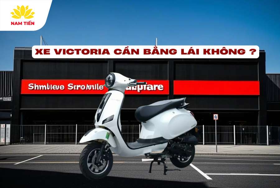 Xe Victoria có cần bằng lái không