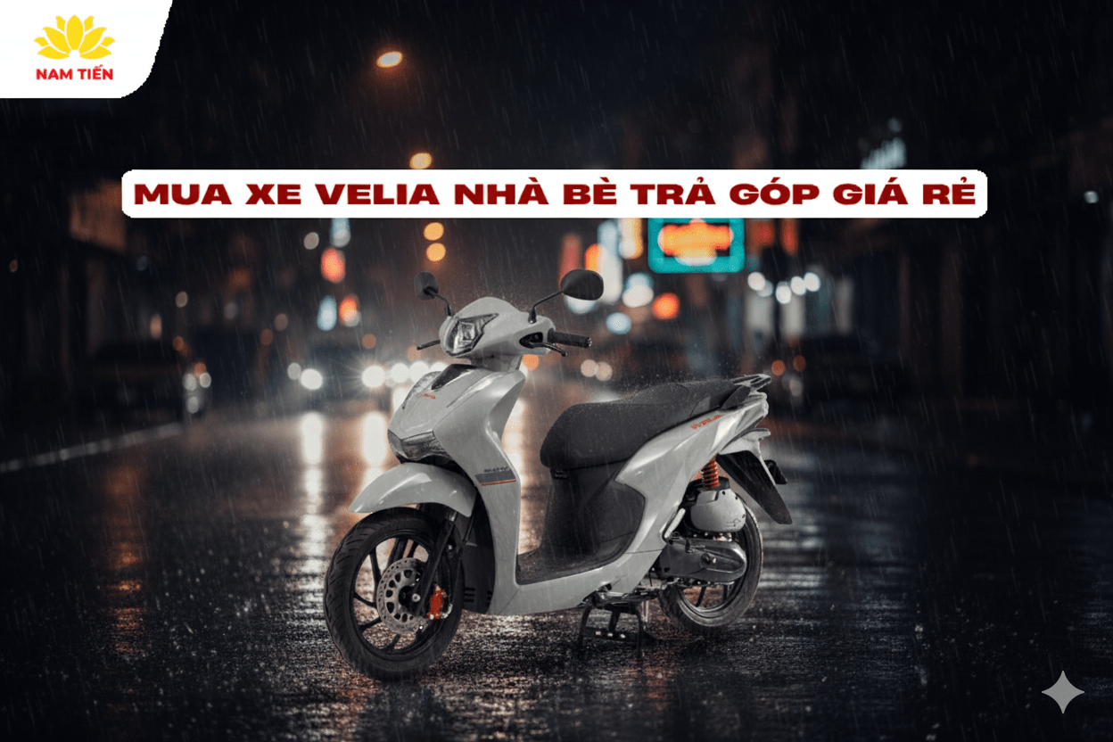 Mua Velia 50cc Long An: Top 3 Địa Chỉ Uy Tín Nhất