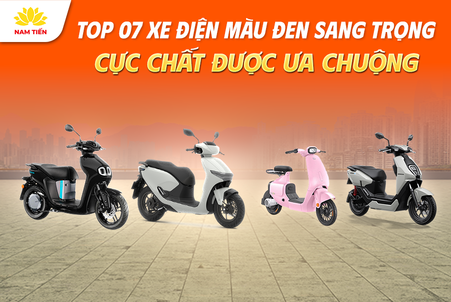 Top 07 Xe Điện Màu Đen Sang Trọng Được Ưa Chuộng