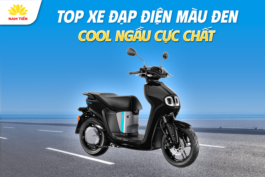 Top 10 Xe Đạp Điện Màu Đen Cool Ngầu Cực Chất