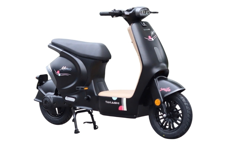 Xe đạp điện Hottrend Takashi Mono màu đen