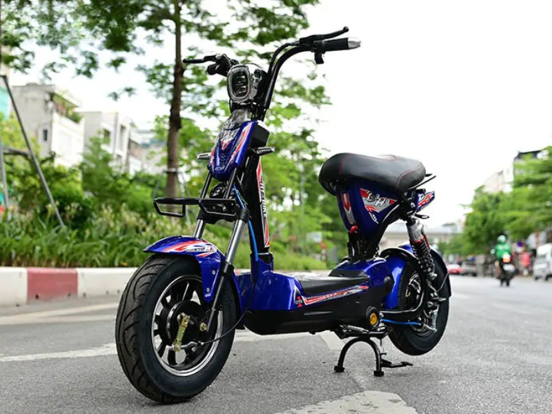 Xe đạp điện M133S