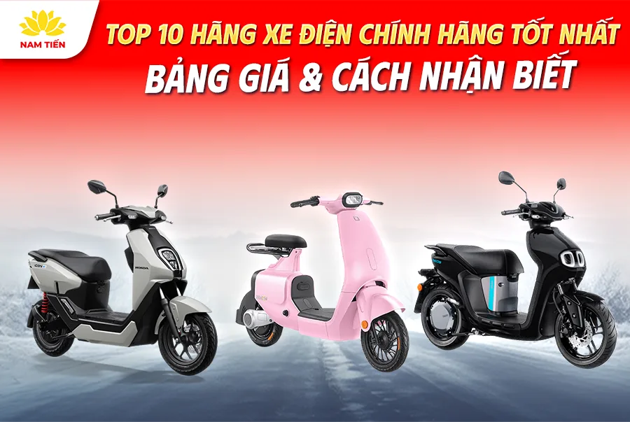 top-10-hang-xe-dien-chinh-hang-tot-nhat-bang-gia-cach-nhan-biet