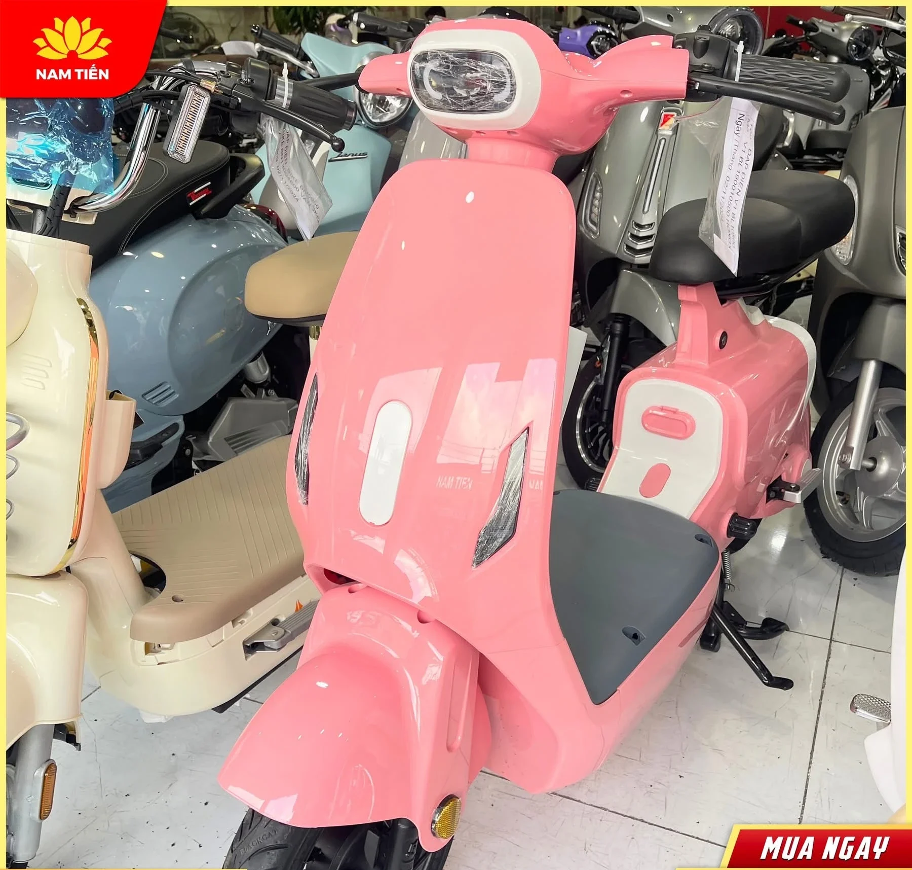 bao-hanh-xe-may-dien-chinh-hang-tai-xe-may-nam-tien