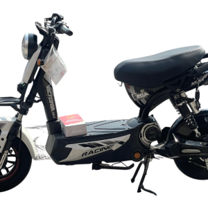Xe Đạp Điện Style Racing