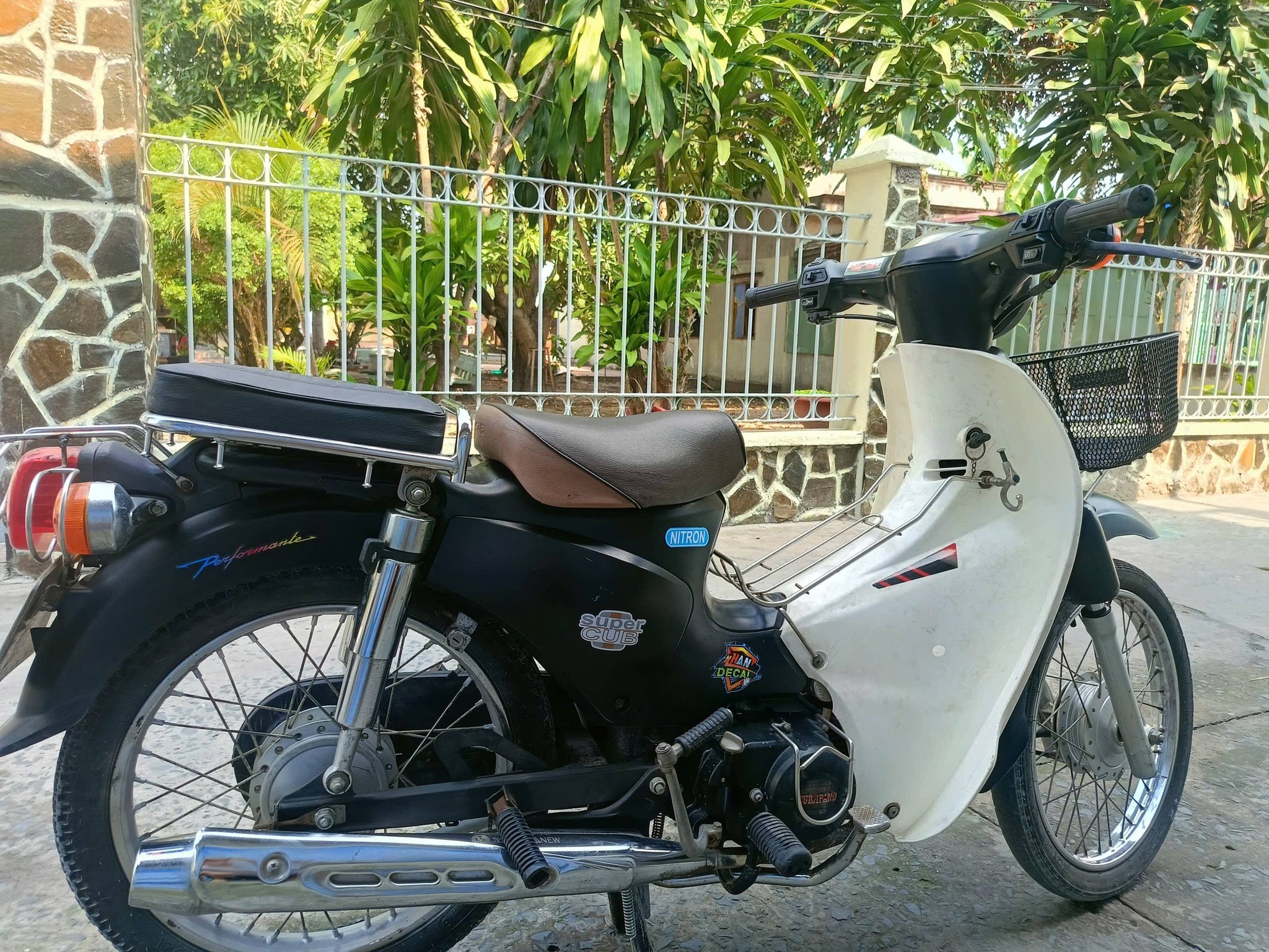 cub-50cc
