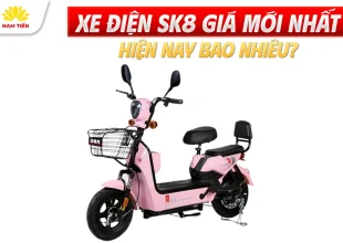Xe Điện SK8 Giá Mới Nhất Hiện Nay Là Bao Nhiêu?