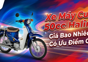 Xe Máy Cub 50cc Halim Giá Bao Nhiêu? Có Ưu Điểm Gì?