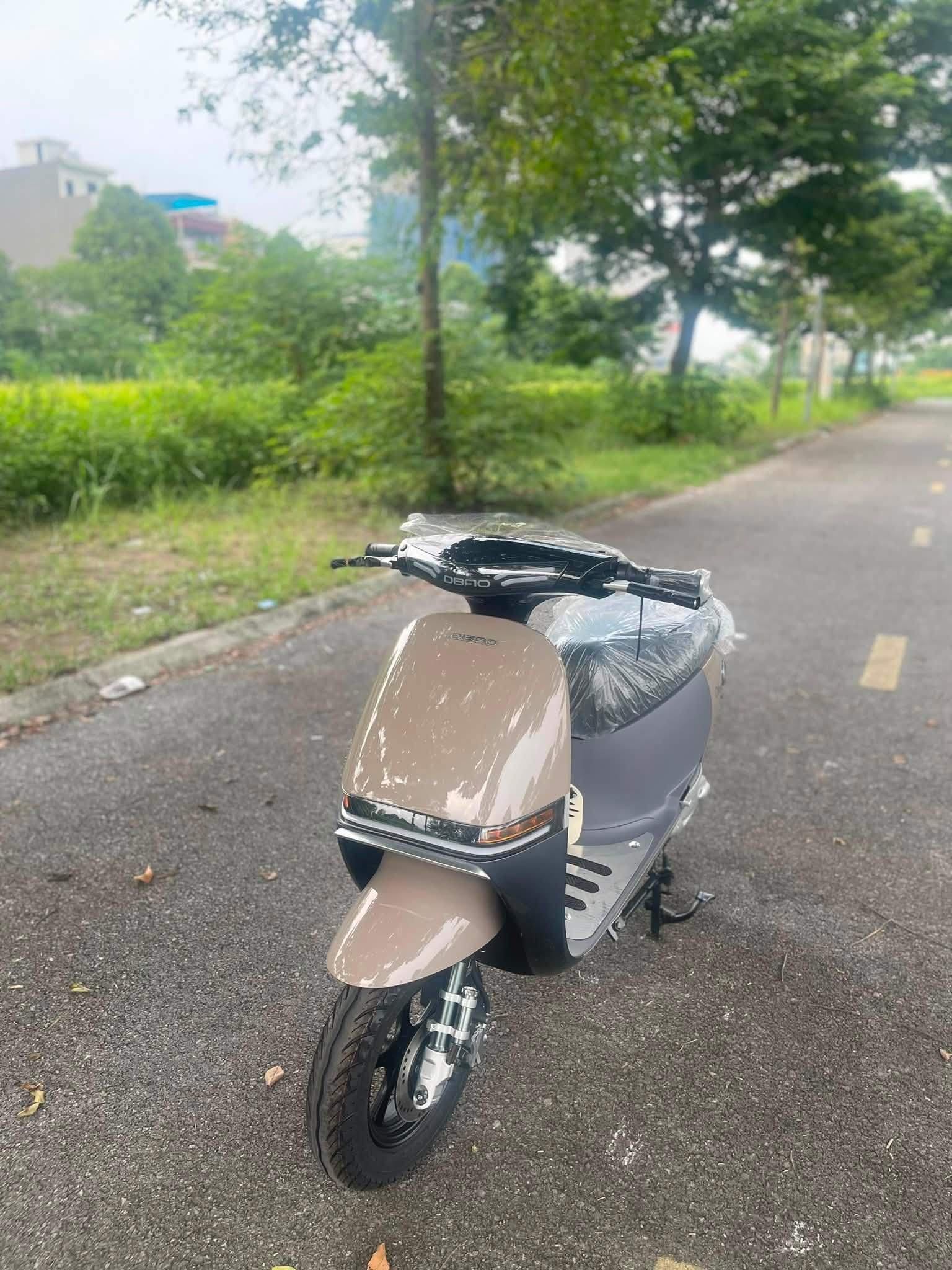 dibao-gogo-cross-xe-dien-2026 