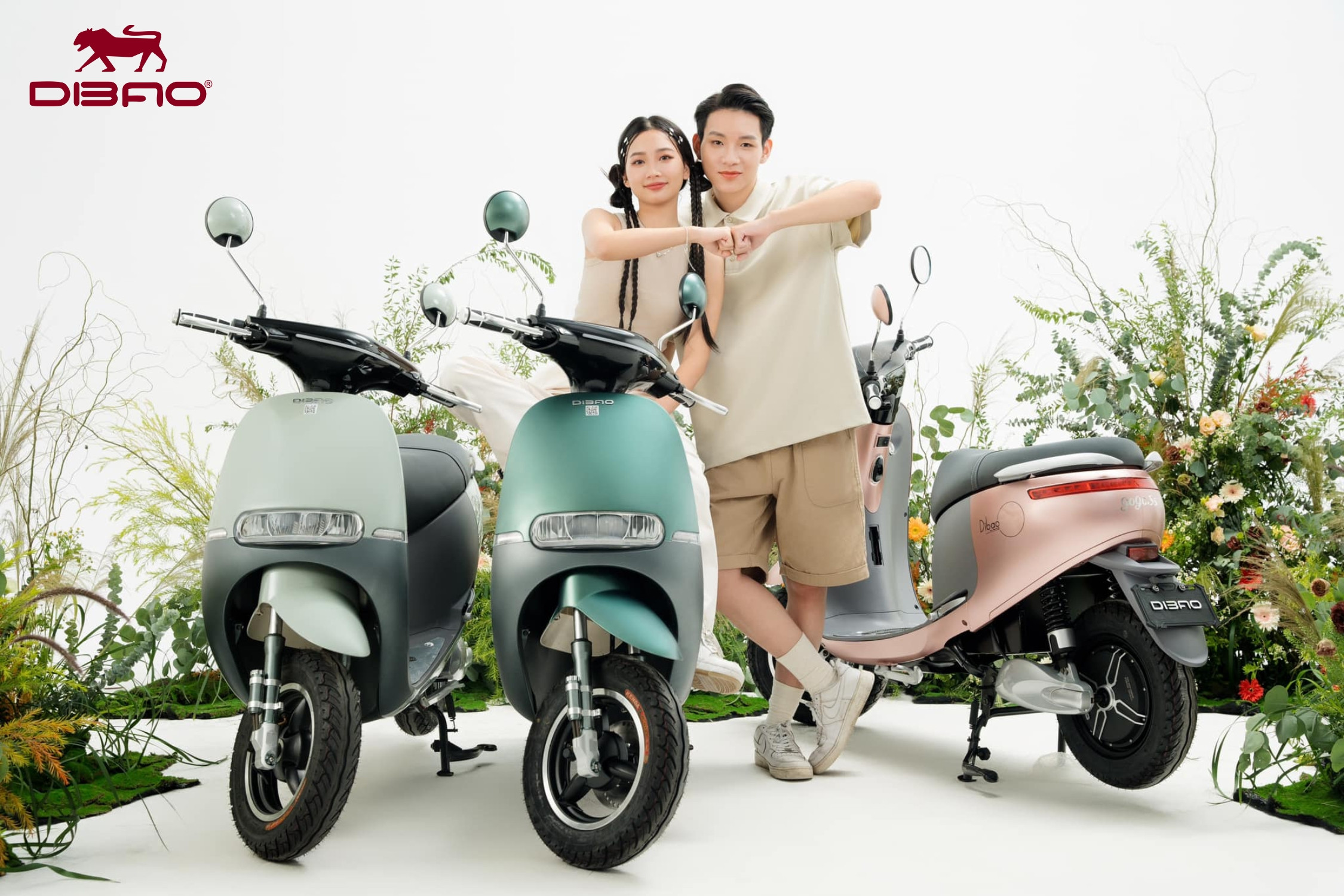 Dibao Gogo S5 – Mẫu xe Gogo cao cấp được ưa chuộng