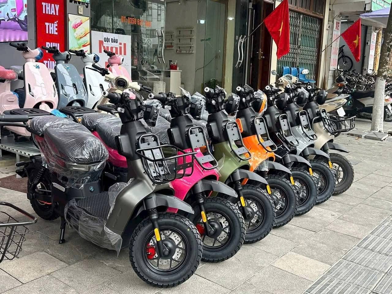 nhan-biet-xe-dien-2026-chinh-hang-nhap-khau-va-xe-dien-nhai-gia 