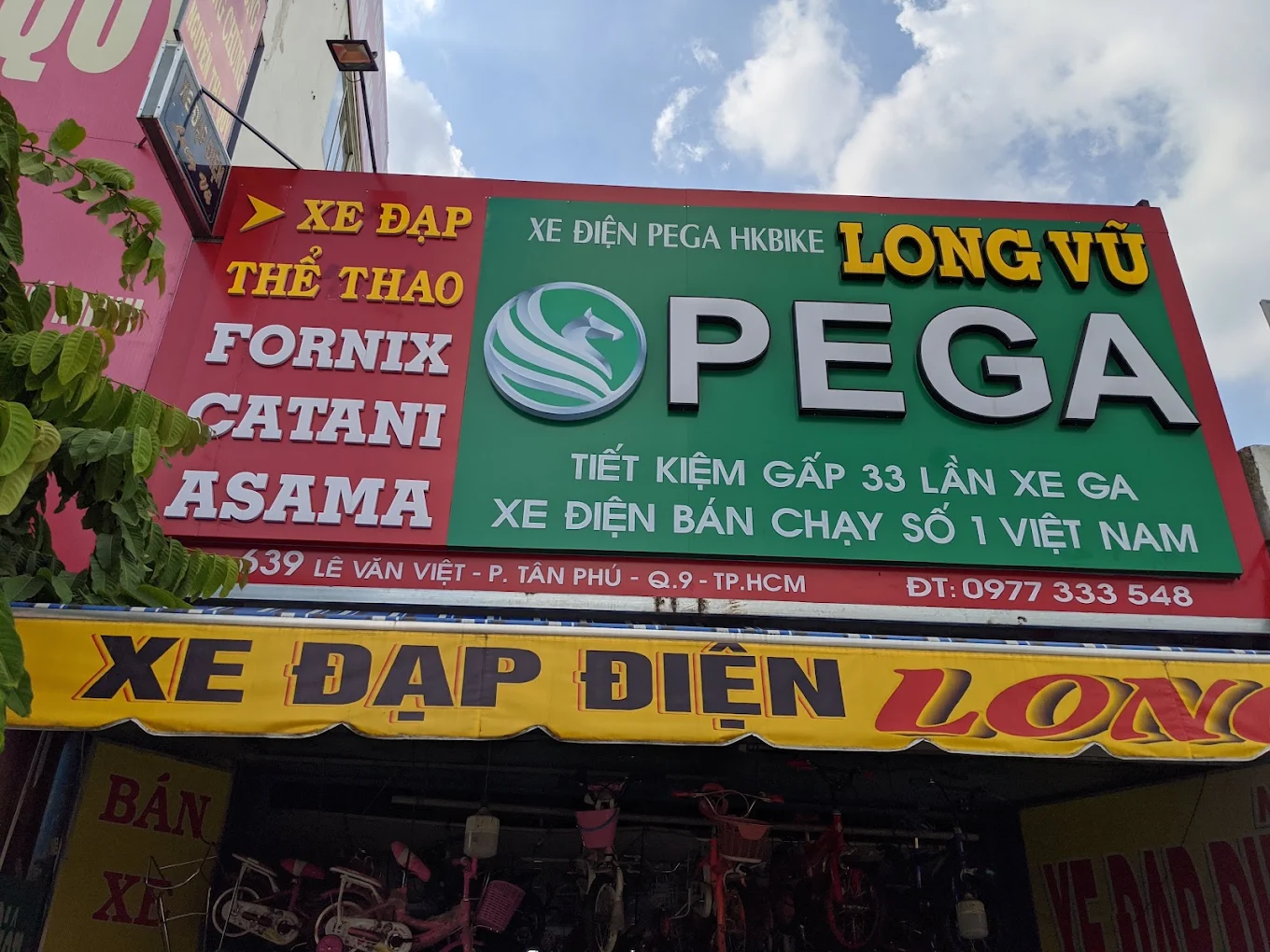 xe-dap-dien-long-vu 