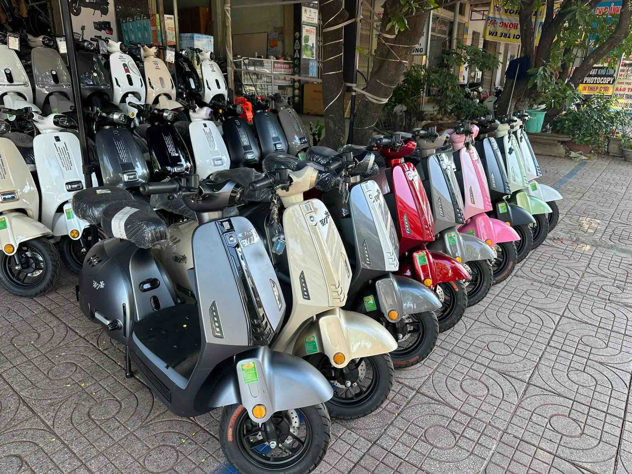 xe-dien-DK-Bike-2026