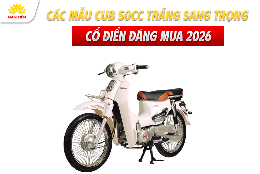 Các Mẫu Cub 50cc Trắng Sang Trọng Cổ Điển Đáng Mua 2026