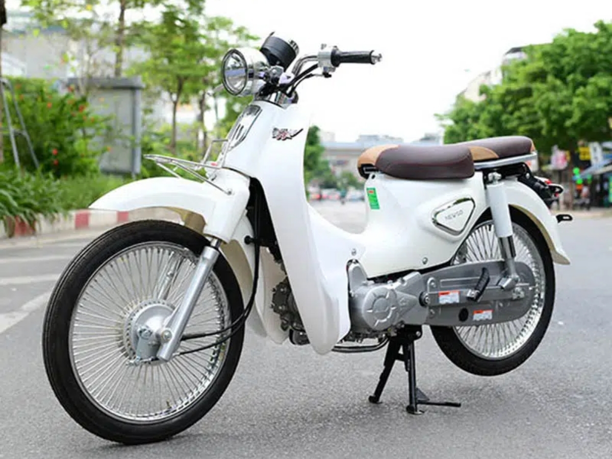 Cub ALLY New 50LE trắng – pha trộn cổ điển và hiện đại