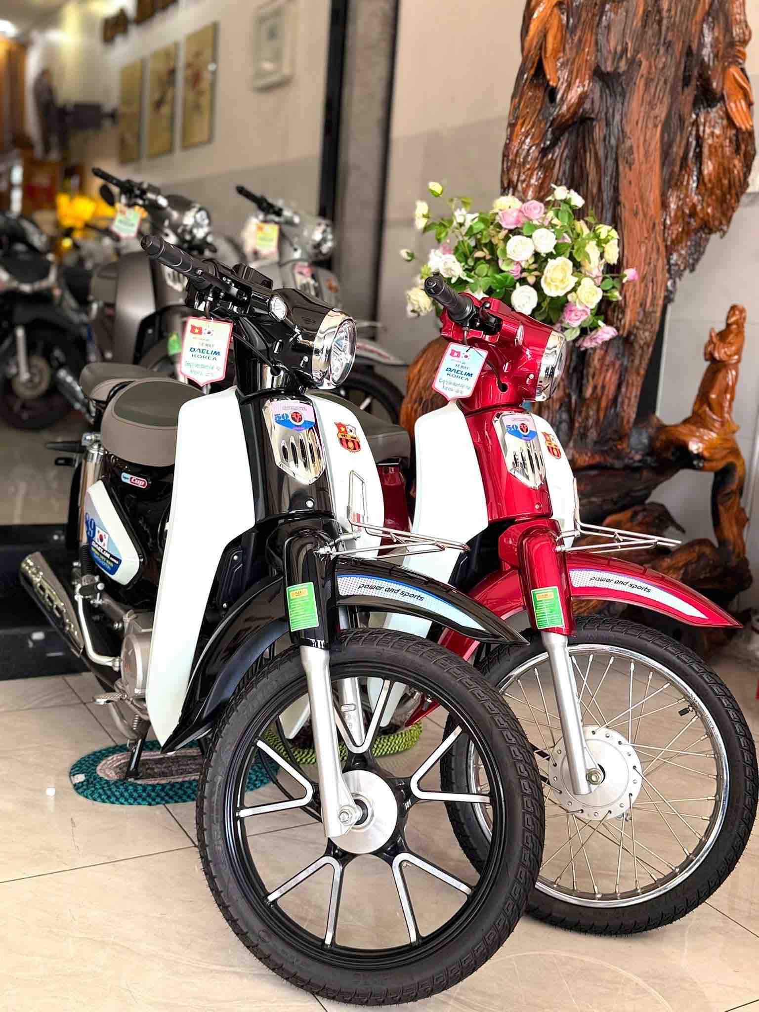 victoria-cub-89-xe-so-50cc